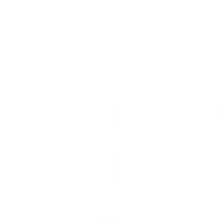 电子pg下载入口